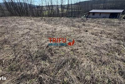 Teren de 675 mp, în Ciugud - 3