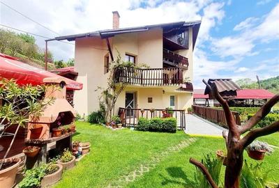 Tu 3D! Pensiune in areal pretios, Moieciu, Bran, Brasov - 25