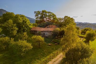 Teren intravilan cu PRIVELISTE UNICA |BRAN, BV| 3,000mp | COMISION 0 | - 11