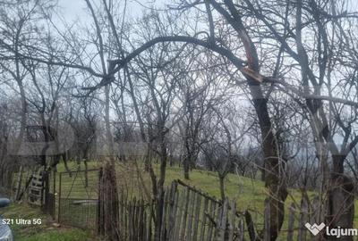 Teren în Schiulești - 5