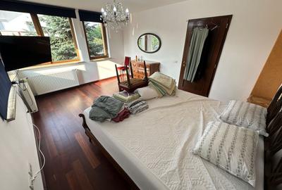 Proprietate cu piscina Dumbravita - 46