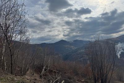 Spațiu comercial, în Muntele Rece - 5