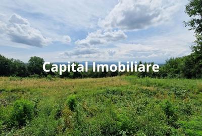 Teren Baia Sprie: 5143 mp, Parcelabil, Comision 0! - 5