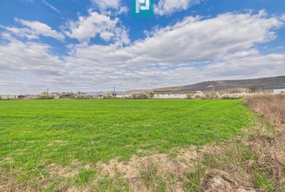 Teren agricol extravilan de 10000 mp, în Sud-Est - 3