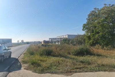 Teren de 3229 mp, în Bucovăț (Remetea Mare) - 1