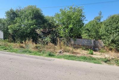 Teren de 2000 mp, în Vulpeni - 3