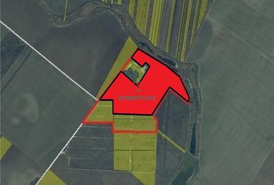 Teren de 200000 mp, în Central