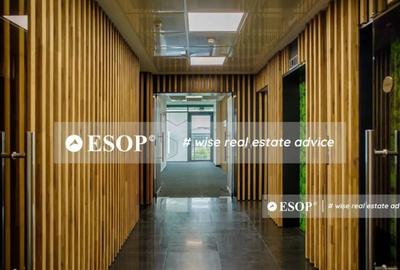 Spațiu comercial, de 5,900 mp, în Băneasa - 9