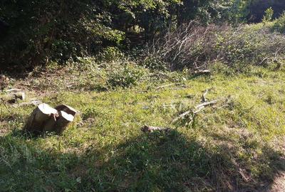 Roscani-Dobra-Teren Cabana-10km A1-Posibilitate Rate - 7