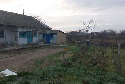 Casă cu 4 camere în Jurilovca - 8