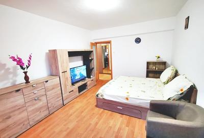 Garsonieră decomandată, mobilată în Valea Oltului - 12