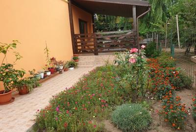 Vila individuala-la bulevard -Berceni IF - 2