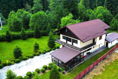 FILM!Resedinta in pretios decor montan, vecinati calitative,1.700 mp teren,Timis - 17