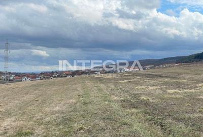 Teren de Vanzare | Ideal dezvoltare Imobiliare Chinteni - 4