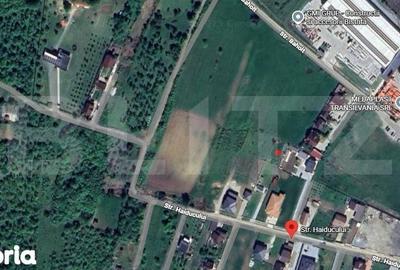 Teren de 1134 mp, în Viișoara - 3