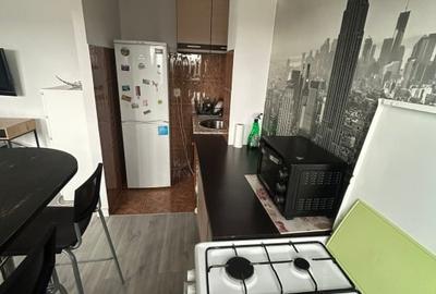 Garsoniera de inchiriat Timpuri noi - Tineretului - 7