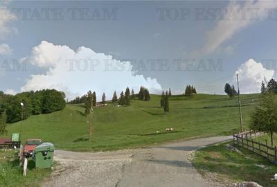 Spațiu comercial, în Dâmbovicioara - 3