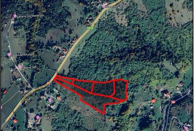 Teren de 30000 mp, în Moieciu