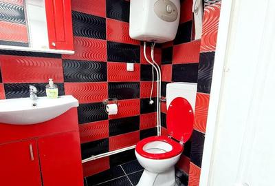 Apartament cu 2 camere semidecomandat în Drăgășani