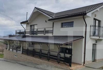 Casa superba in Ludus, 320mp! - 4