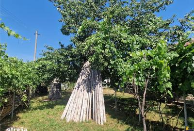 Casă cu 3 camere cu Teren 2000 Mp în Izvoarele - 10