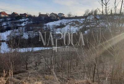 Teren intravilan pentru constructii de vanzare in Feleacu - 6