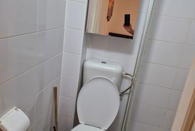 Garsonieră decomandată în Ozana - 9