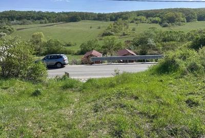 Spațiu comercial, în Măgina