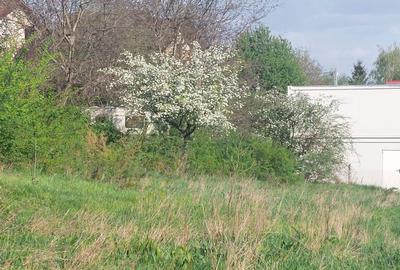 Spațiu comercial, în Galata - 4