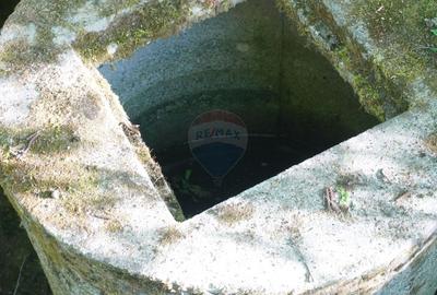 Teren Construcții intravilan de 38592 mp, în Sud-Vest - 25