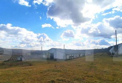 Teren de 49856 mp, în Someșeni - 9