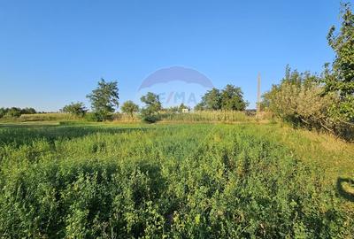 Teren intravilan 1,733mp Mitocasi, Suceava - 10