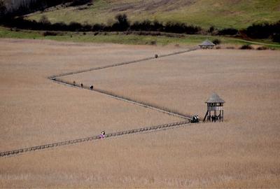 Spațiu comercial, în Sic - 3