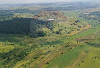 Teren agricol extravilan de 3000000 mp, în Zlagna - 4