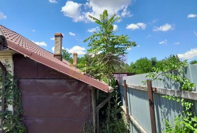 Movilita - vanzare casa 5 cam plus livada pe rod si teren 1800 mp - 55