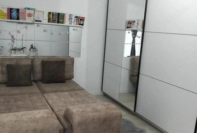 Apartament cu 1 camera POD pe toata suprafata Calea Urseni - 1