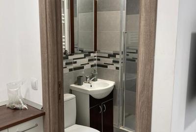 Apartament 4 camere Calea Calarasi / Hala Traian in vila - 7