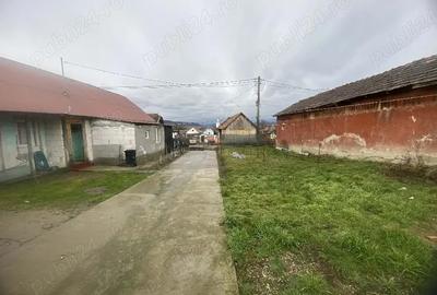 Casă cu 3 camere în Lunca Mureșului - 4