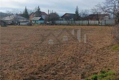 Teren de 3500 mp, în Păun - 7