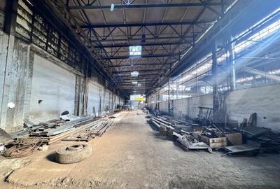 Hala 3.800 mp ,Oportunitati de Investitie - 17