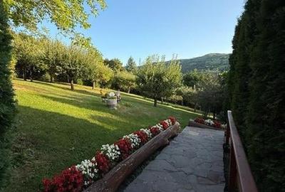 Cabana - Casa de vacanta situata in Muntele Rece! - 6
