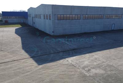 Spațiu industrial, de 6,227 mp, în Homorog - 11