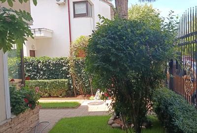 Complex Rezidențial Straulesti-Damaroaia- Vila-Zona Verde - 18