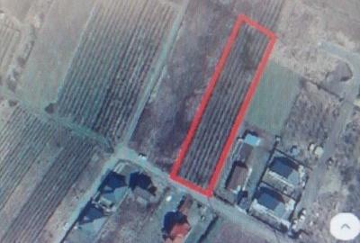 Vând teren intravilan 1741 mp Tomesti, Iași - 2