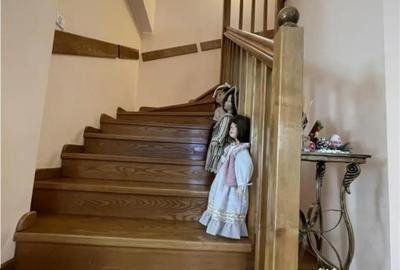 Casă cu 4 camere cu Teren 10000 Mp în Nufăru - 9