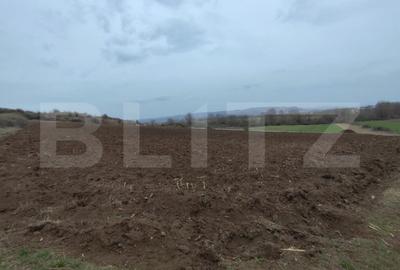 Teren de 9700 mp, în Vințu de Jos