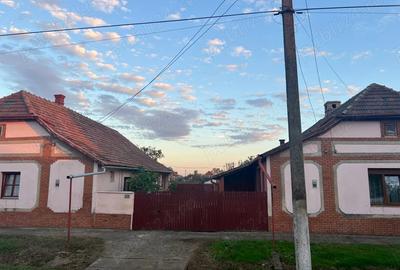 Casă cu 6 camere în Cenad - 2