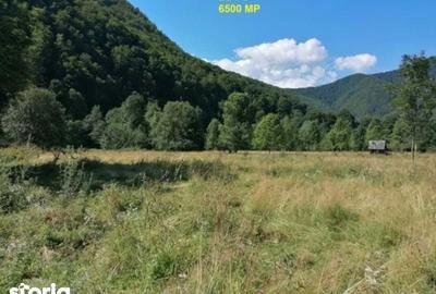 Teren de 7500 mp, în Malaia - 4