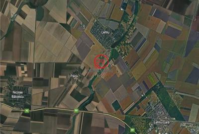Teren de 250000 mp, în Lehliu - 2