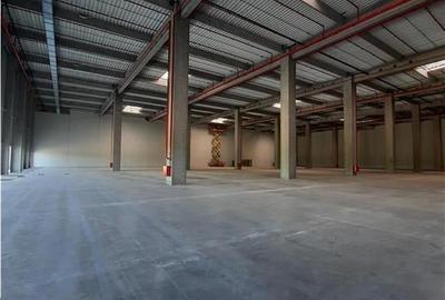 Spatii Industriale - 10000 mp - Logistica - Productie - Depozitare - Distributie - 2